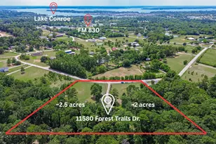 11580 Forest Trails Dr, Willis, TX 77318 - Photo 3