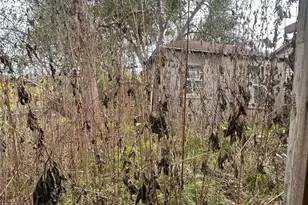 312 Willow St, Sweeny, TX 77480 - Photo 47