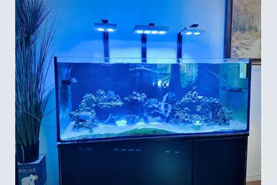 195 Rim Rock Road, Onalaska, TX 77360 - Photo 13