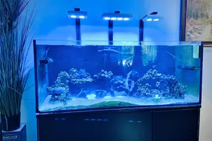 195 Rim Rock Rd, Onalaska, TX 77360 - Photo 13