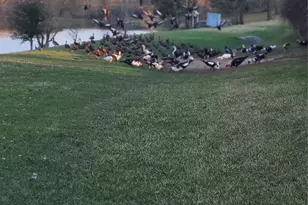 727 Slate Valley Ln, Spring, TX 77373 - Photo 25