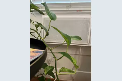 3027 Avenue O 1/2, Galveston, TX 77550 - Photo 47