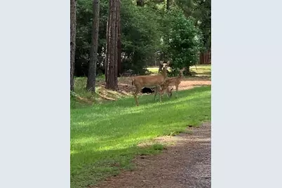 305 Canadian Drive, Trinity, TX 75862 - Photo 3