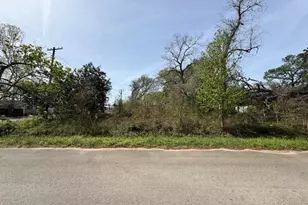 411 Sherwood Street E, Cleveland, TX 77327 - Photo 15