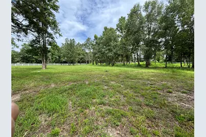 1263 Old Providence Road, Livingston, TX 77351 - Photo 9