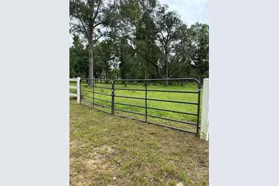 1263 Old Providence Road, Livingston, TX 77351 - Photo 3