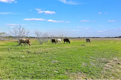 3448 Cr 270, Cameron, TX 76520 - Photo 27