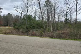 74 County Rd 6323, Dayton, TX 77535 - Photo 1