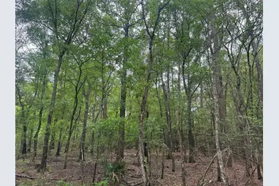 15800 Largent Drive, Plantersville, TX 77363 - Photo 3