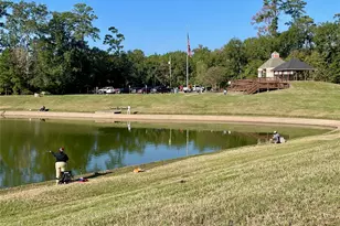 19003 Whitewood Dr, Spring, TX 77373 - Photo 47