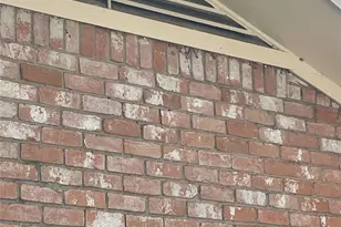 1801 Cardinal Dr, League City, TX 77573 - Photo 23