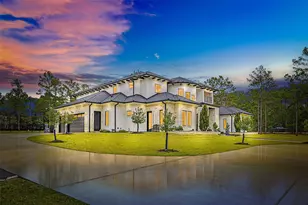 29011 Village Bend, Magnolia, TX 77355 - Photo 3