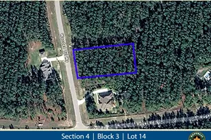 15682 Wooded Trl Wy, Willis, TX 77378 - Photo 1