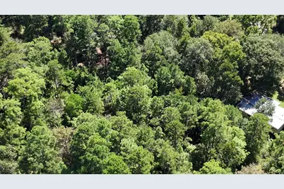 Lot 226 N Canyon Drive, Onalaska, TX 77360 - Photo 11