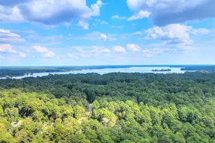 00 Cottonwood, Trinity, TX 75862 - Photo 1