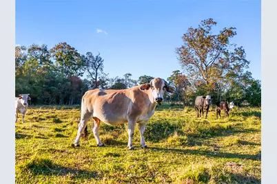 Tbd County Road 2090, Liberty, TX 77575 - Photo 45