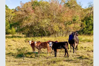 Tbd County Road 2090, Liberty, TX 77575 - Photo 27