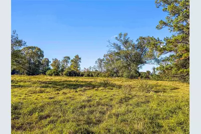 Tbd County Road 2090, Liberty, TX 77575 - Photo 7