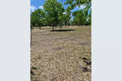 000 Louise Street, Navasota, TX 77868 - Photo 5