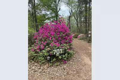 701 Ira Denson Road, Coldspring, TX 77331 - Photo 9