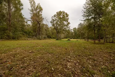 701 Ira Denson Road, Coldspring, TX 77331 - Photo 23