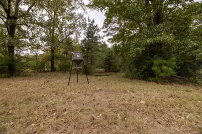 701 Ira Denson Road, Coldspring, TX 77331 - Photo 17