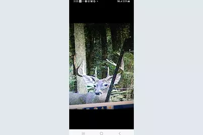 701 Ira Denson Road, Coldspring, TX 77331 - Photo 19