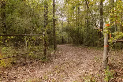 701 Ira Denson Road, Coldspring, TX 77331 - Photo 21
