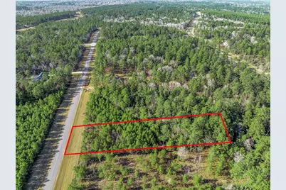 15762 Wood Grove Way, Willis, TX 77378 - Photo 11