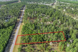 15762 Wood Grv Wy, Willis, TX 77378 - Photo 11