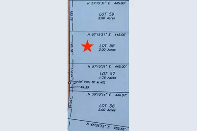 15762 Wood Grove Way, Willis, TX 77378 - Photo 3