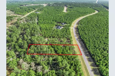 15762 Wood Grove Way, Willis, TX 77378 - Photo 9