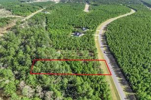 15762 Wood Grv Wy, Willis, TX 77378 - Photo 9