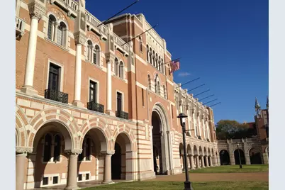 501 Avondale Street, Houston, TX 77006 - Photo 49