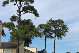 6200 W Tidwell Rd, Houston, TX 77092 - Photo 1