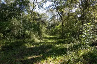 0000 Cr 611, Angleton, TX 77515 - Photo 1
