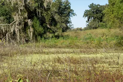 0000 Cr 611, Angleton, TX 77515 - Photo 23