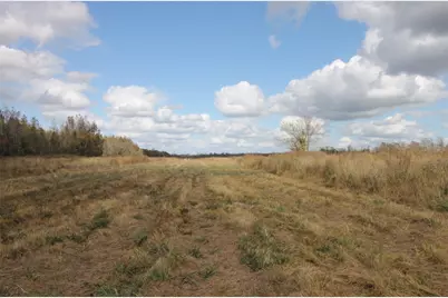 43 County Road 2355, Liberty, TX 77575 - Photo 5