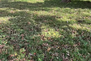 3013 Reid St, Houston, TX 77026 - Photo 13