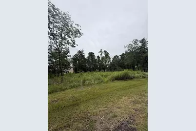 68 Forest Hollow, Trinity, TX 75862 - Photo 9