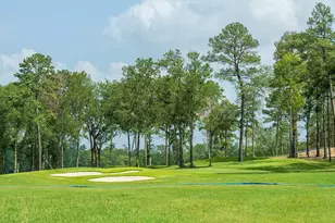 7906 Coastal Prairie Dr, Porter, TX 77365 - Photo 9