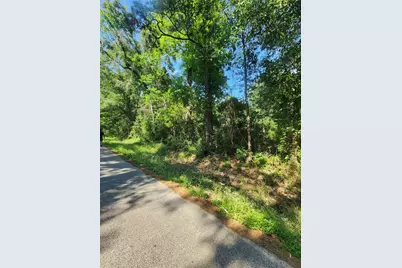 202 Michael Street, Cleveland, TX 77328 - Photo 5