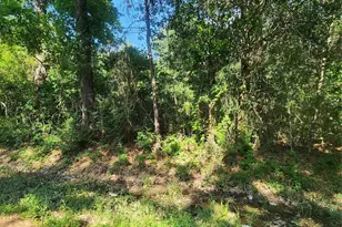 202 Michael St, Cleveland, TX 77328 - Photo 1