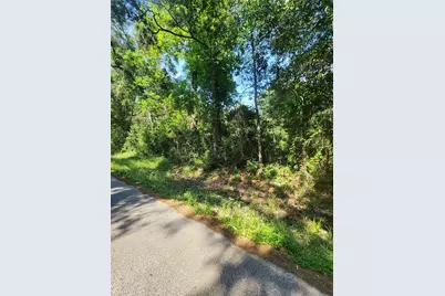 202 Michael Street, Cleveland, TX 77328 - Photo 3