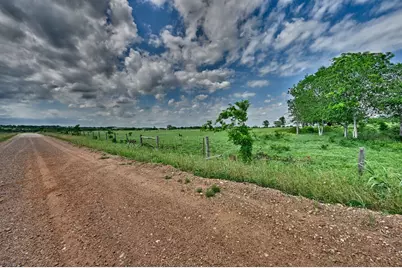 0000 School Road, New Ulm, TX 78950 - Photo 7