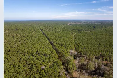 000 Forest Service Road 527, Apple Springs, TX 75926 - Photo 17