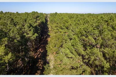 000 Forest Service Road 527, Apple Springs, TX 75926 - Photo 15