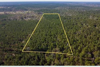 000 Forest Service Road 527, Apple Springs, TX 75926 - Photo 3