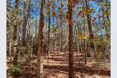 000 Forest Service Road 527, Apple Springs, TX 75926 - Photo 7