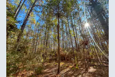 000 Forest Service Road 527, Apple Springs, TX 75926 - Photo 9